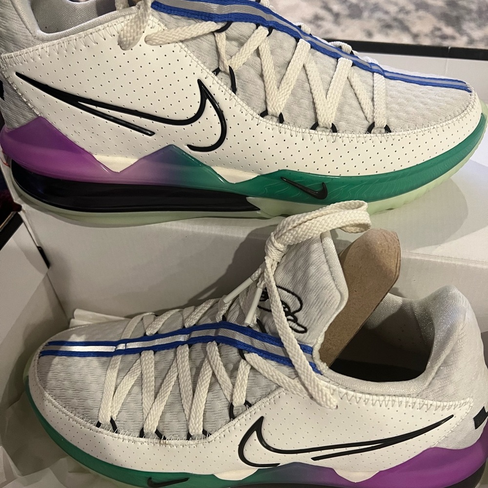 LEBRON XVII LOW